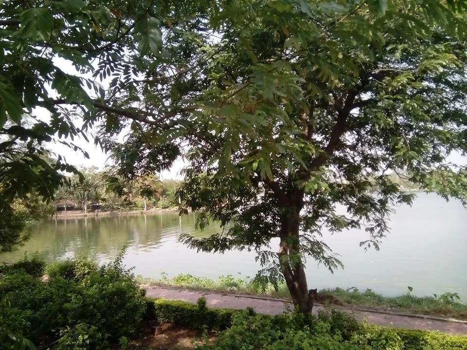 Lower Lake / Chhota Talab in the Bhopal area · actual photograph