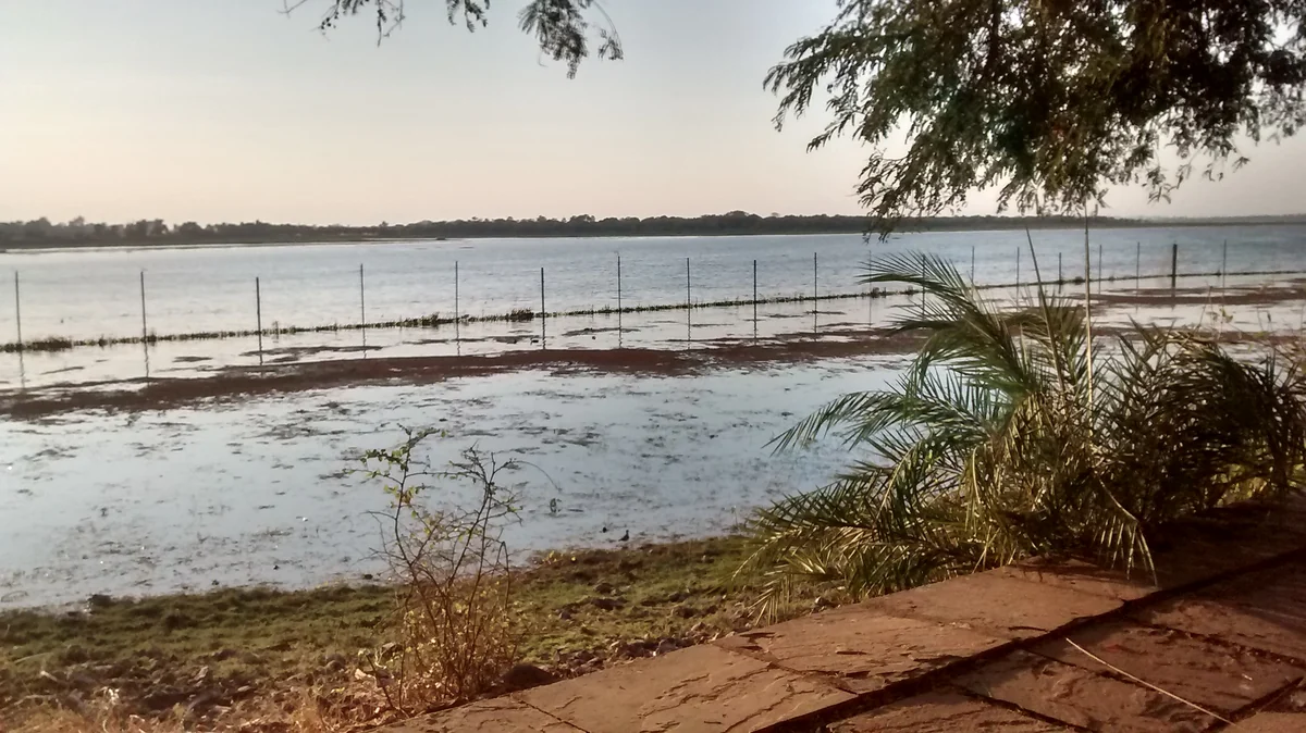 Bhojtal viewed from the lakeside setting of Van Vihar National Park.