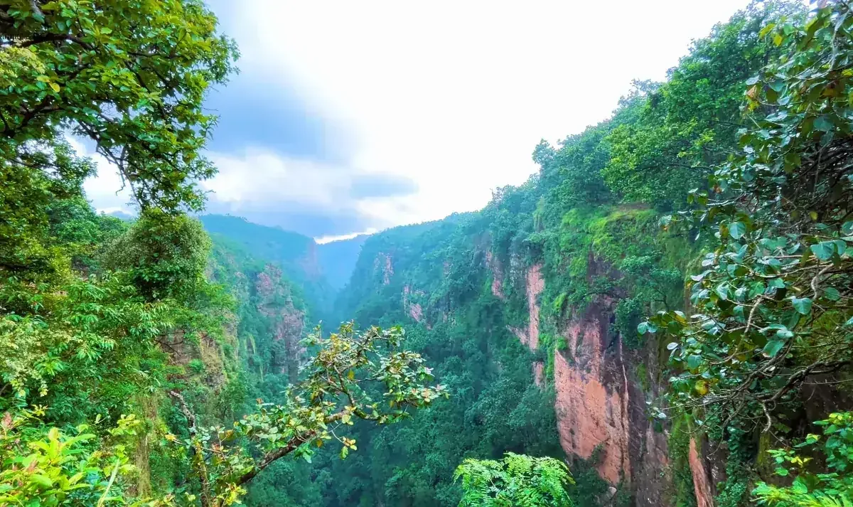 Handi Khoh gorge between green cliffs in Pachmarhi