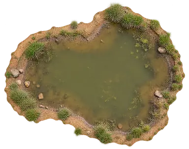 Illustration of a small forest waterhole like Shravan Tal