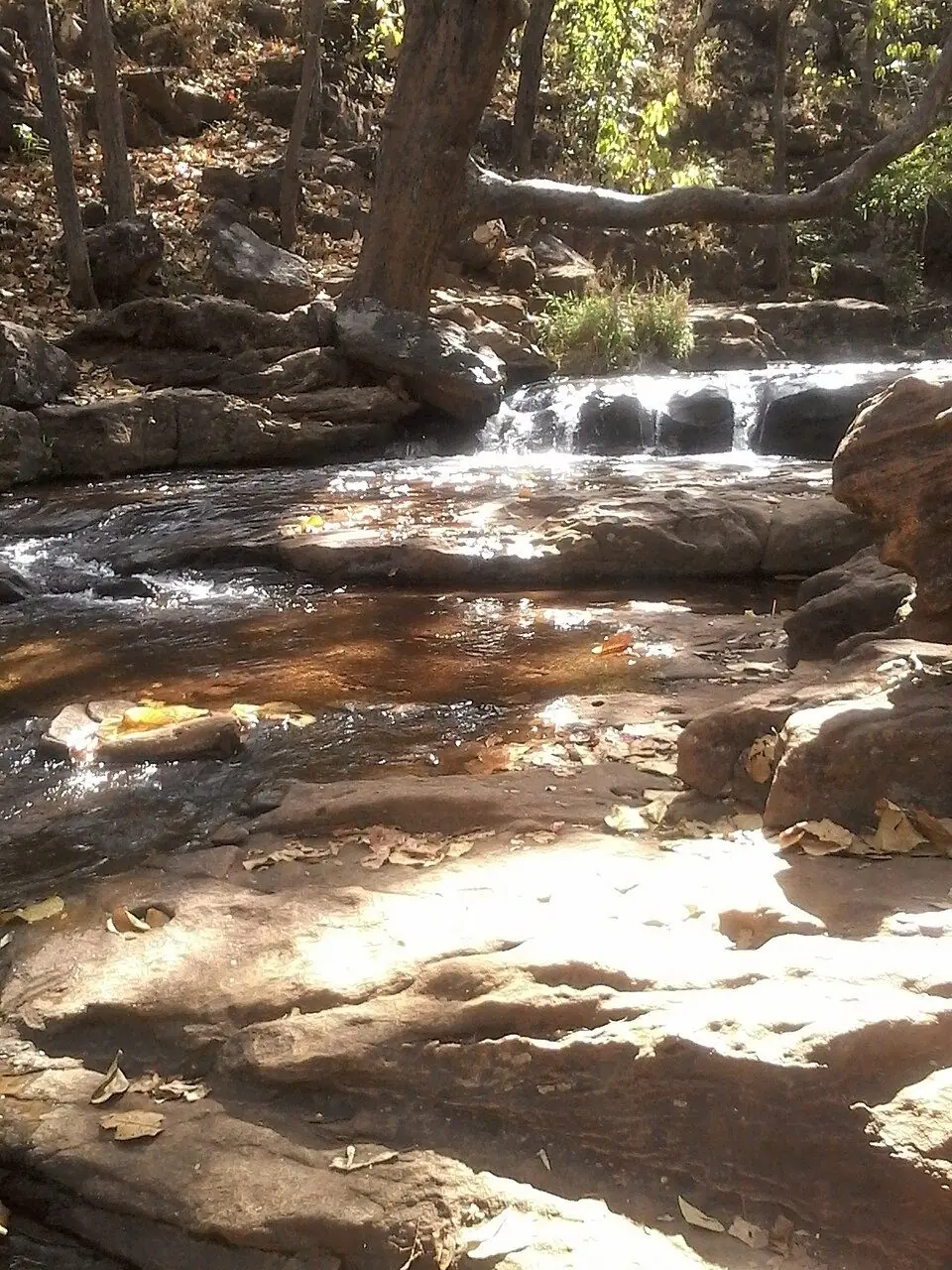 Rocky cascades feeding the Apsara Vihar Fairy Pool, Pachmarhi.