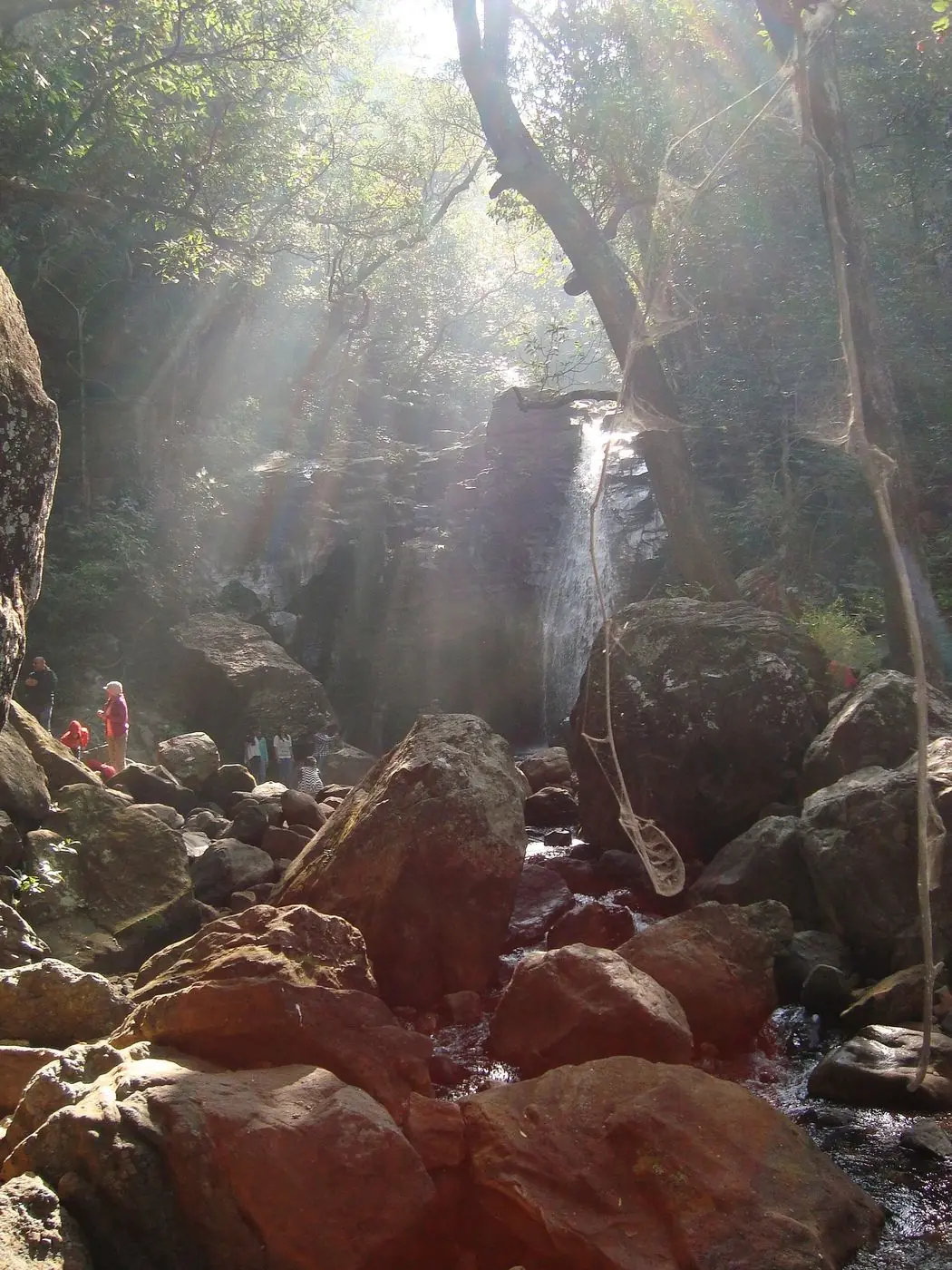 Duchess Falls and surrounding forest in Pachmarhi.