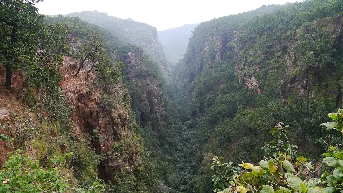 The forested Handi Khoh ravine near Pachmarhi.
