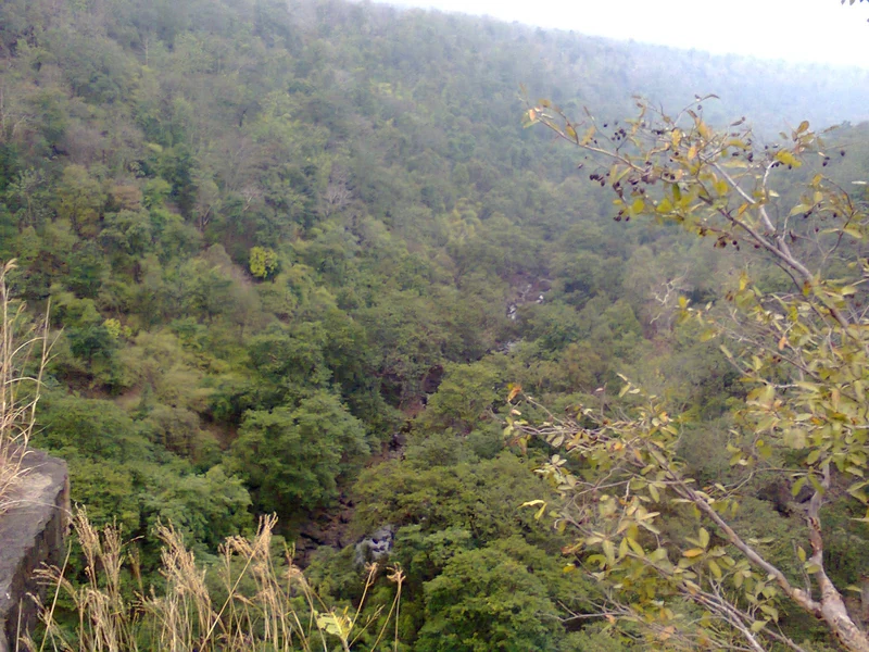 Wooded hills and plateaus of Panna Tiger Reserve
