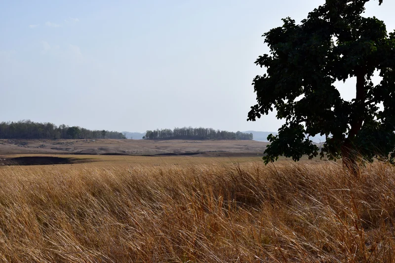 Pench landscape photograph; not a verified Jamtara circuit