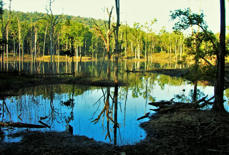 Pench River at the state-border landscape; not a Chindimatta viewpoint